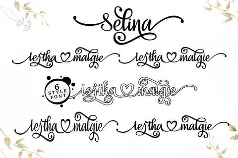 Selina Script Font muhammadzeky 