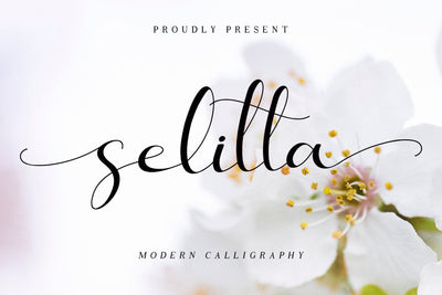 Selitta Font AEN Creative Store 