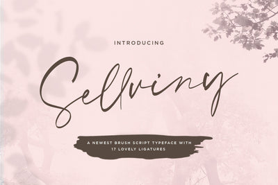 Sellviny - Handwritten Font Font StringLabs 