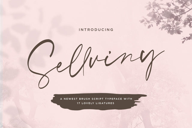 Sellviny - Handwritten Font Font StringLabs 