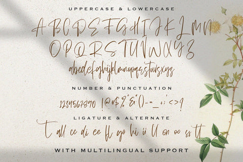 Sellviny Queen - Handwritten Font Font StringLabs 