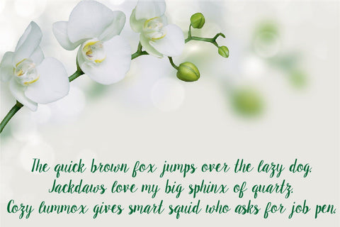 Selorejo Font zafrans studio 