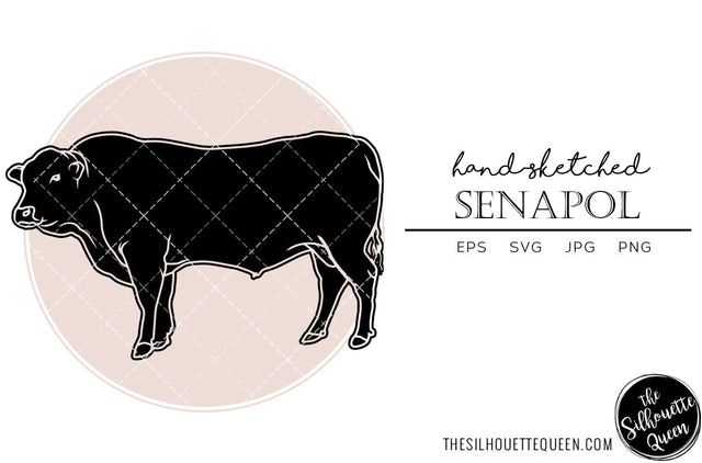 Senapol Sketch Vector SVG Loveleen Kaur 