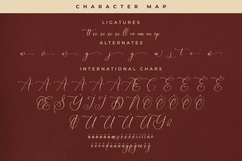 Serandipity Boutique Font Duo Font Storytype Studio 
