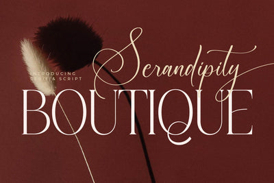 Serandipity Boutique Font Duo Font Storytype Studio 