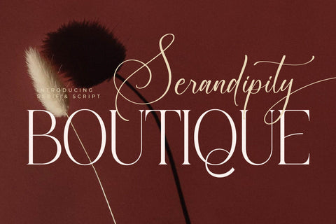 Serandipity Boutique Font Duo Font Storytype Studio 
