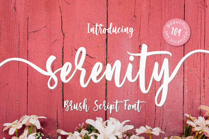 Serenity Script Font Din Studio 