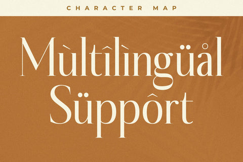 Serfiyan Typeface Font Storytype Studio 