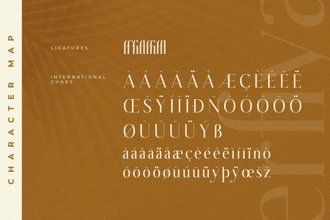 Serfiyan Typeface Font Storytype Studio 
