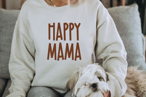 Seriously Fabulous Block Font Font Blush Font Co. 