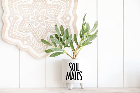 Seriously Fabulous Block Font Font Blush Font Co. 