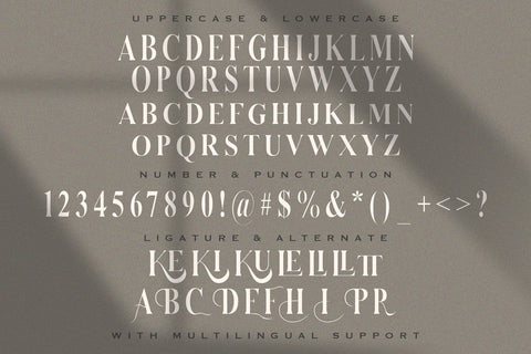 Serizawa - Classic Serif Font Font StringLabs 