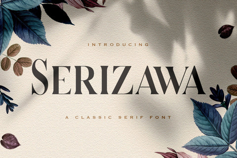 Serizawa - Classic Serif Font Font StringLabs 
