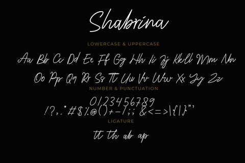 Shabrina-Handwritten font Font LetterdayStudio 