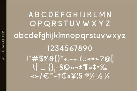 Shadeon Typeface Font Storytype Studio 