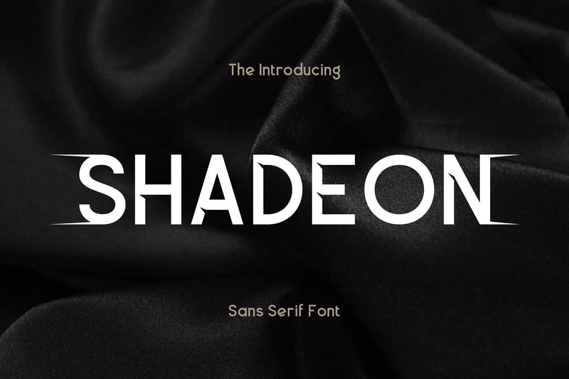 Shadeon Typeface Font Storytype Studio 