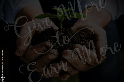 Shafeer Duo Font Abo Daniel Studio 