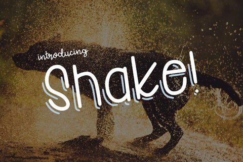 Shake Font Kitaleigh 