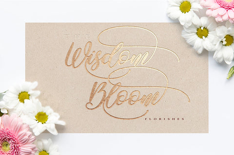 Shakeglow script Font Akrt Std 