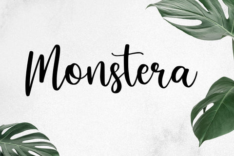 Shakera Font Abo Daniel Studio 