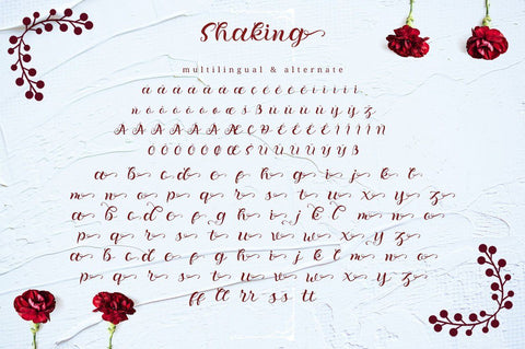 Shaking - Cursive Handwritten Font Font Ibey Design 