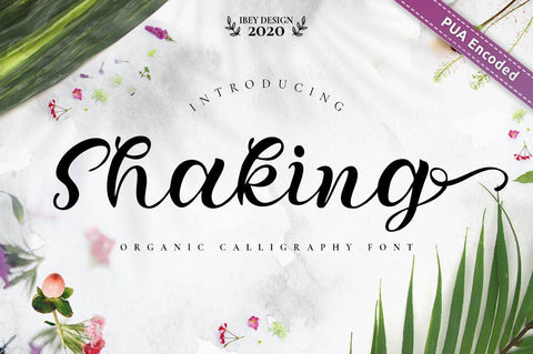 Shaking - Cursive Handwritten Font Font Ibey Design 