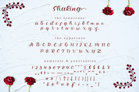 Shaking - Cursive Handwritten Font Font Ibey Design 