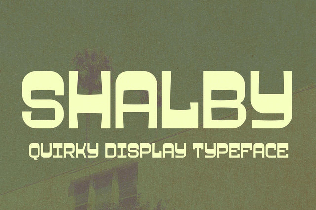 SHALBY Typeface Font Storytype Studio 