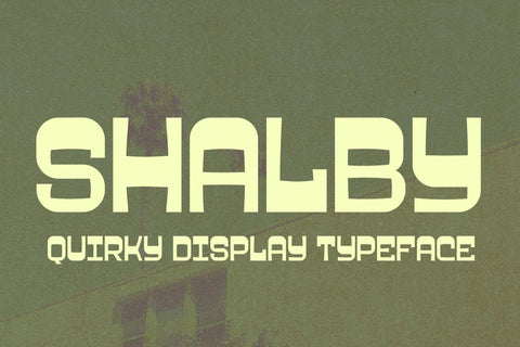 SHALBY Typeface Font Storytype Studio 