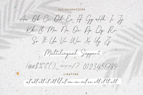 Shallifronthe Font Allouse.Studio 