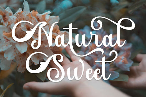 Shanethy Script Font Rotterlab studio 