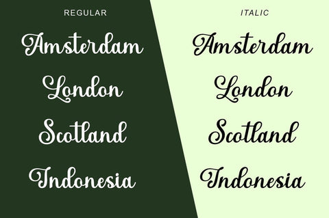 Shanethy Script Font Rotterlab studio 