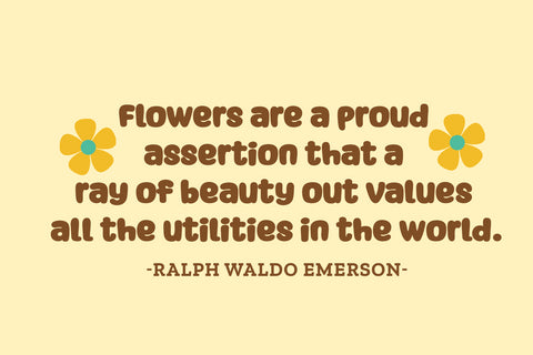 Shanty House Font nhfonts 