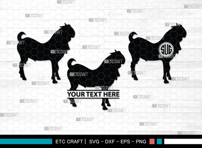 Sheep Monogram, Sheep Silhouette, Sheep SVG, Buck Sheep Svg, Cheviot Sheep Svg, Columbia Sheep Svg, Rambouillet Sheep Svg, Female Bighorn Sheep Svg, SB00318 SVG ETC Craft 