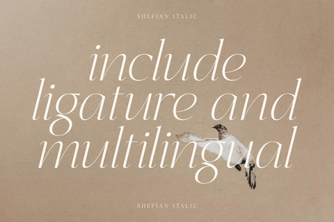 Shefian Typeface Font Storytype Studio 