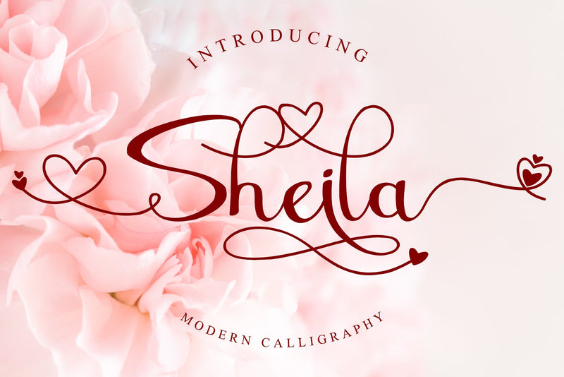 Sheila Font Andrey Design 