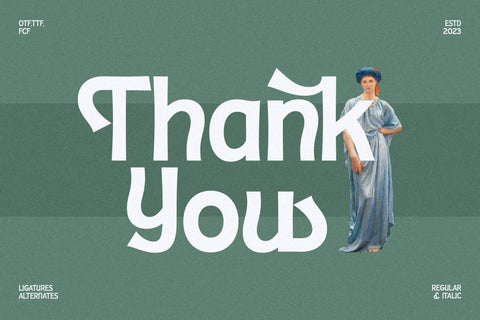 Sheiron Rodina Typeface Font Storytype Studio 