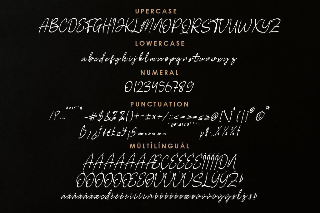 Shelley Handwritten Script | So Fontsy
