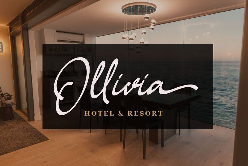 Shelley Handwritten Script | So Fontsy