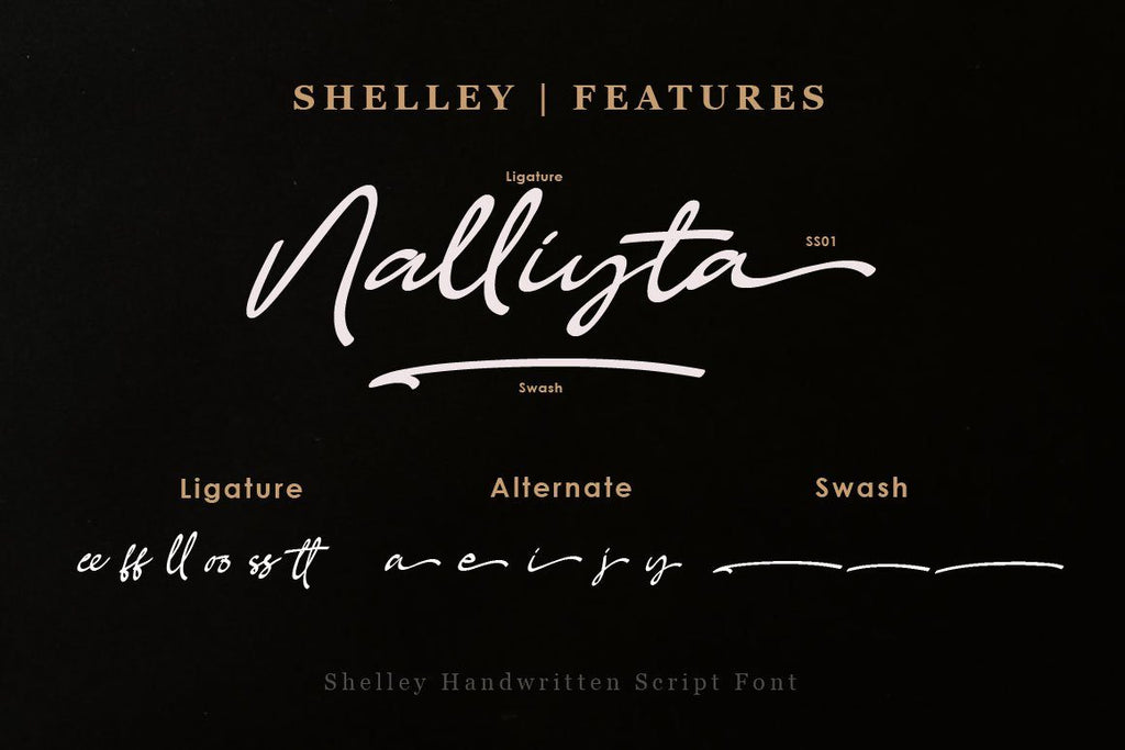 Shelley Handwritten Script | So Fontsy