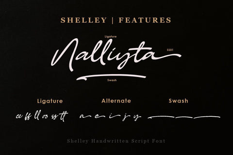 Shelley Handwritten Script Font Balevgraph Studio 