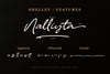 Shelley Handwritten Script | So Fontsy