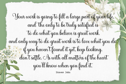 Shelly Script - So Fontsy