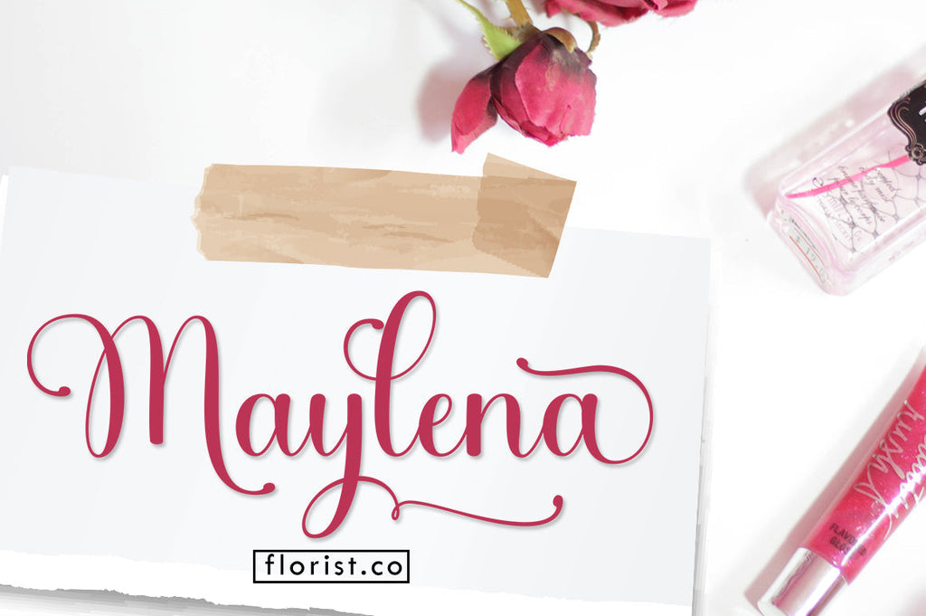 Shelly Script - So Fontsy