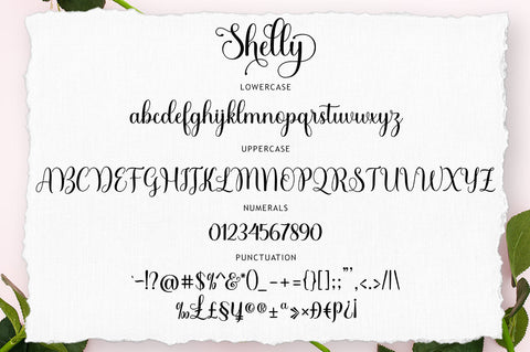 Shelly Script Font muhammadzeky 