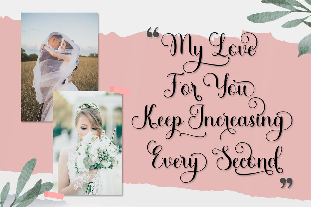 Shelly Script - So Fontsy