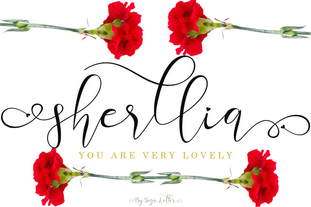 Sherllia Font Prasetya Letter 