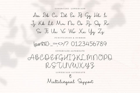 Shibalady Font Allouse.Studio 