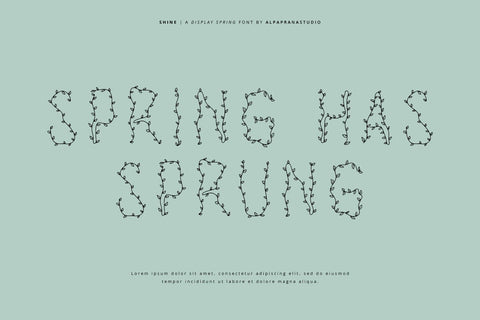 Shine - Decorative Display Font Font Alpaprana Studio 