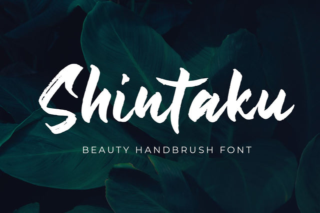 Shintaku Font Abo Daniel Studio 
